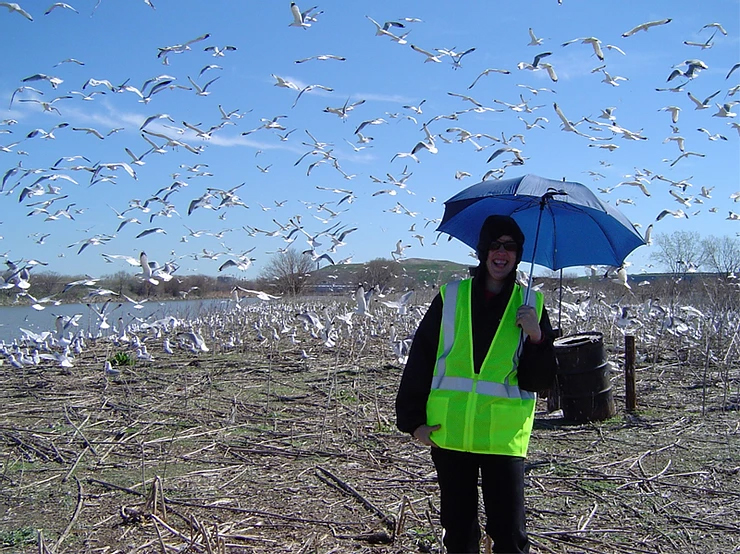 Got Bird Waste? Get Your Permits in Place!