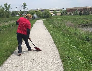 Goose control chicago suburbs cleanup