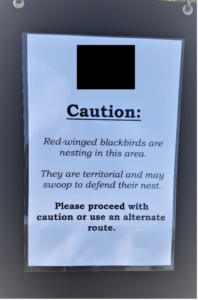 Red-Winged Blackbird Sign