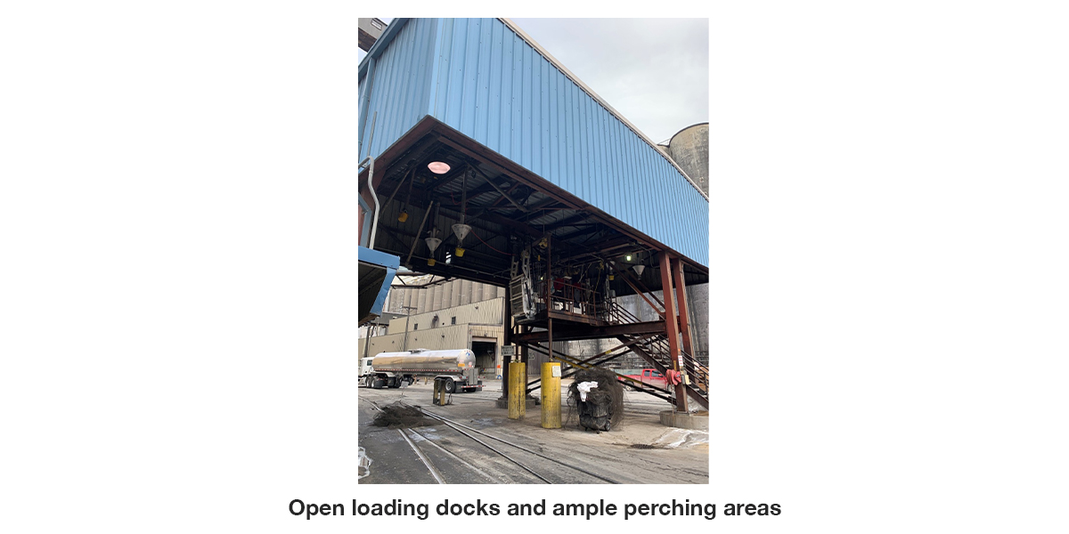 food-processing-dock