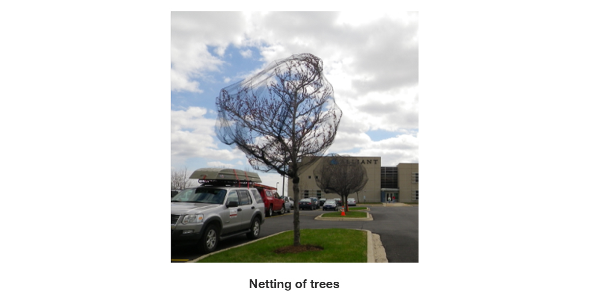 netting-of-trees