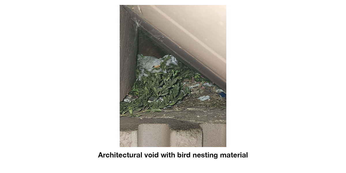 bird-nesting-materials