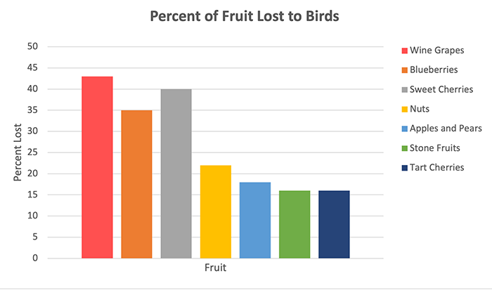 Percentage of fruit lost to birds chart