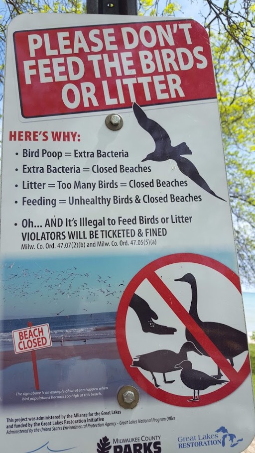 Don't feed birds sign
