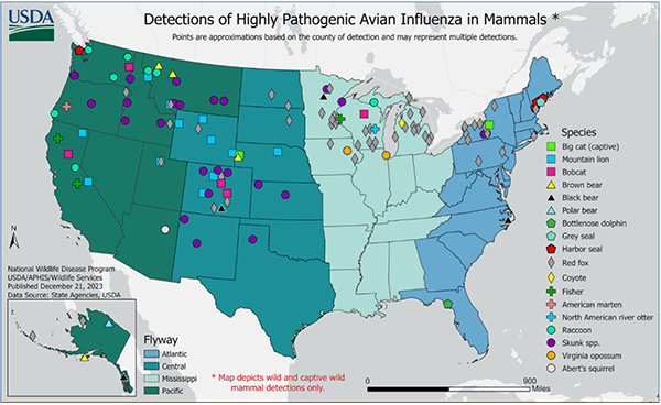 Status of the Avian Flu Outbreak in 2024 | Wild Goose Chase Indy