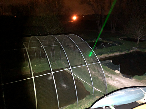 Bird control laser at a fishery